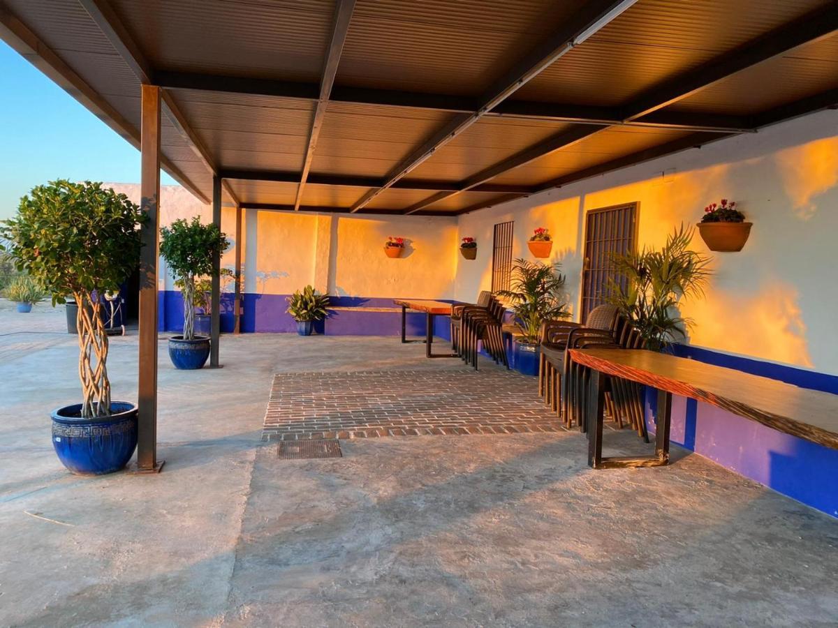 La Casa Del Olivo Villa Ecija Exterior photo